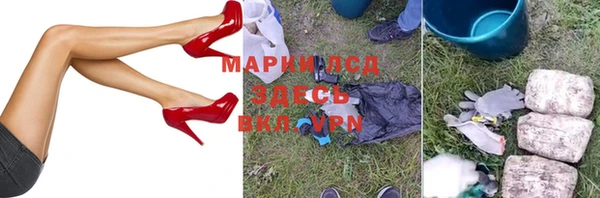 гидра Майский