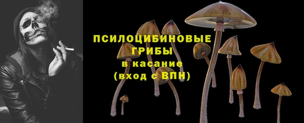 Альфа ПВП Магас