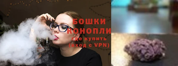 гидра Майский