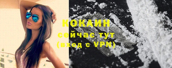 Альфа ПВП Магас