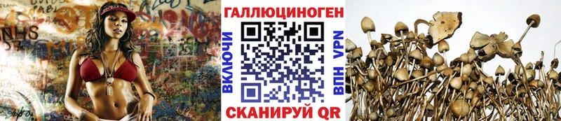 Купить где  Фёдоровский  Галлюциногенные грибы GOLDEN TEACHER 
